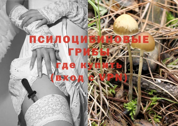 гашишное масло Краснослободск