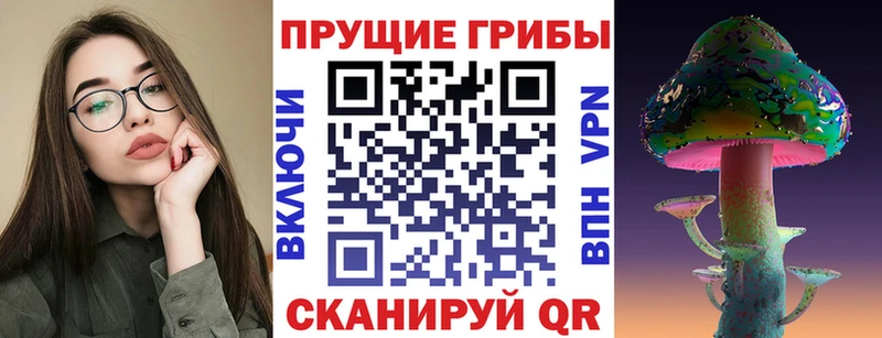 Галлюциногенные грибы мицелий  Чухлома 